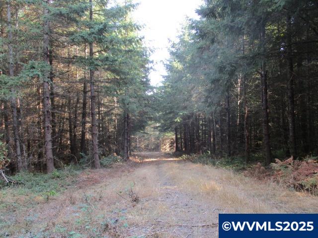 Lot 900-901 Hazelnut Ridge Road Scotts Mills, OR 97375 - Photo 11 of 23 Gallery Image 11
