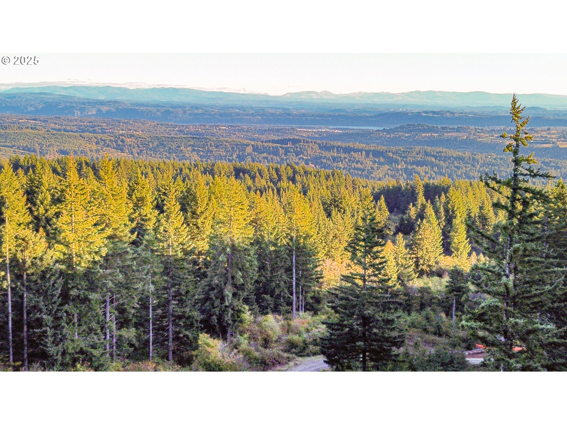 29110 Northeast Hancock Road Camas, WA 98607 - Photo 38 of 48