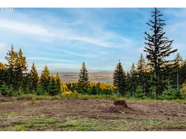 $1,950,000 | 29110 Northeast Hancock Road, Camas, WA 98607