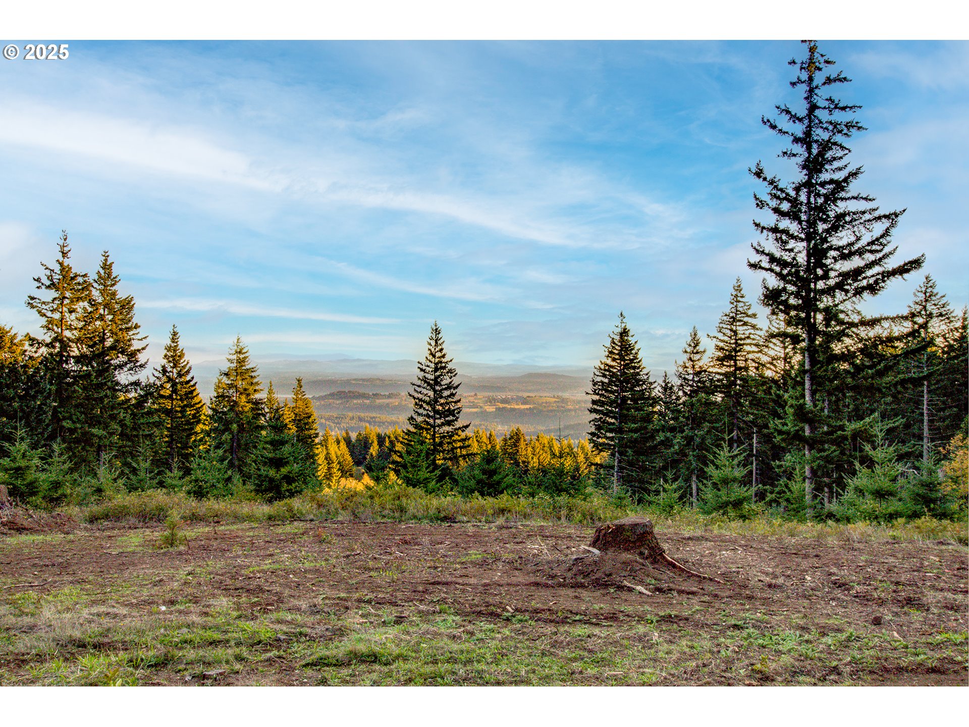 29110 Northeast Hancock Road Camas, WA 98607 - Photo 43 of 48