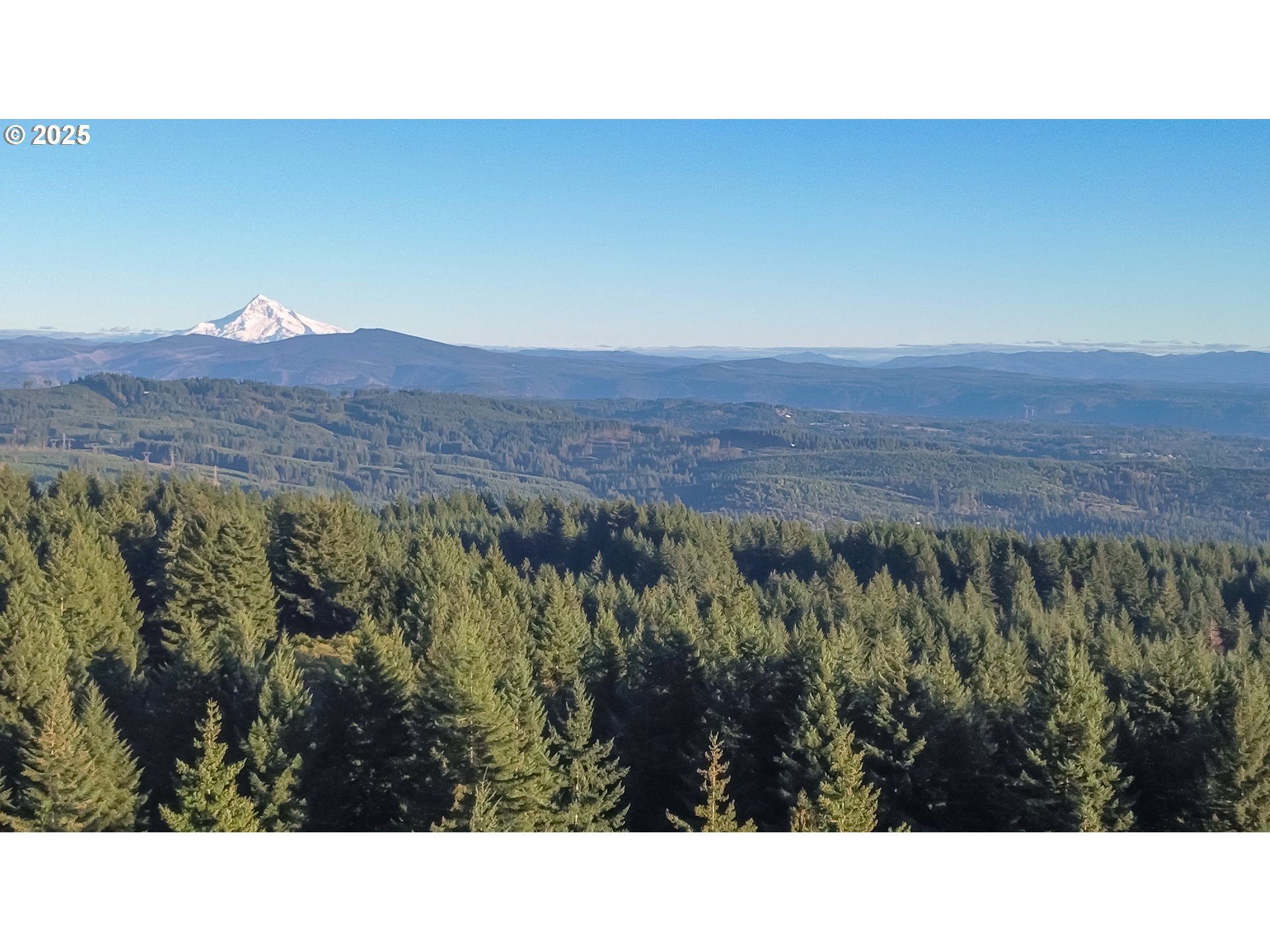 29110 Northeast Hancock Road Camas, WA 98607 - Photo 45 of 48