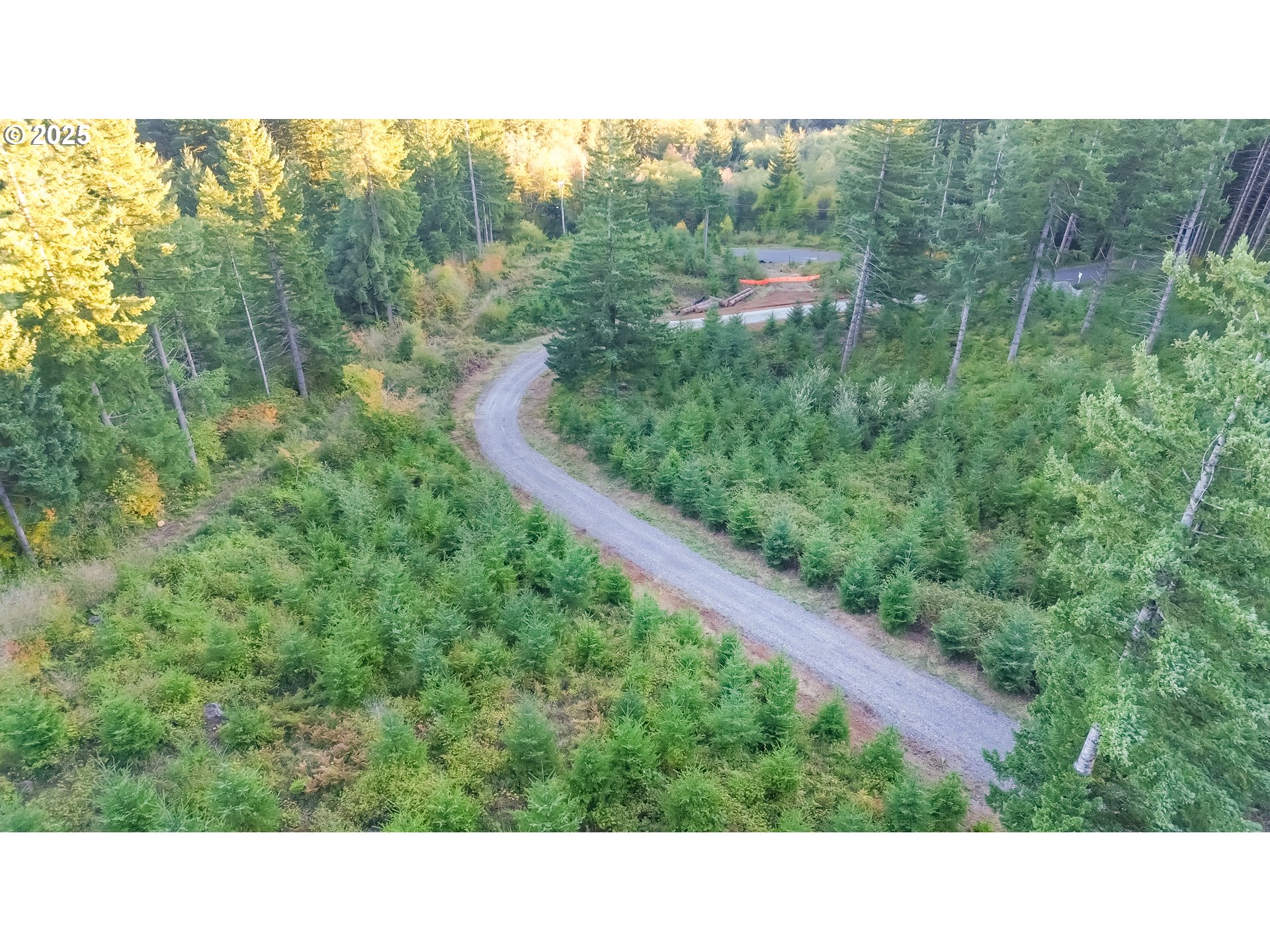 29110 Northeast Hancock Road Camas, WA 98607 - Photo 47 of 48