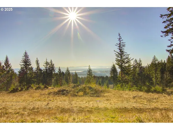 $1,950,000 | 29110 Northeast Hancock Road, Camas, WA 98607