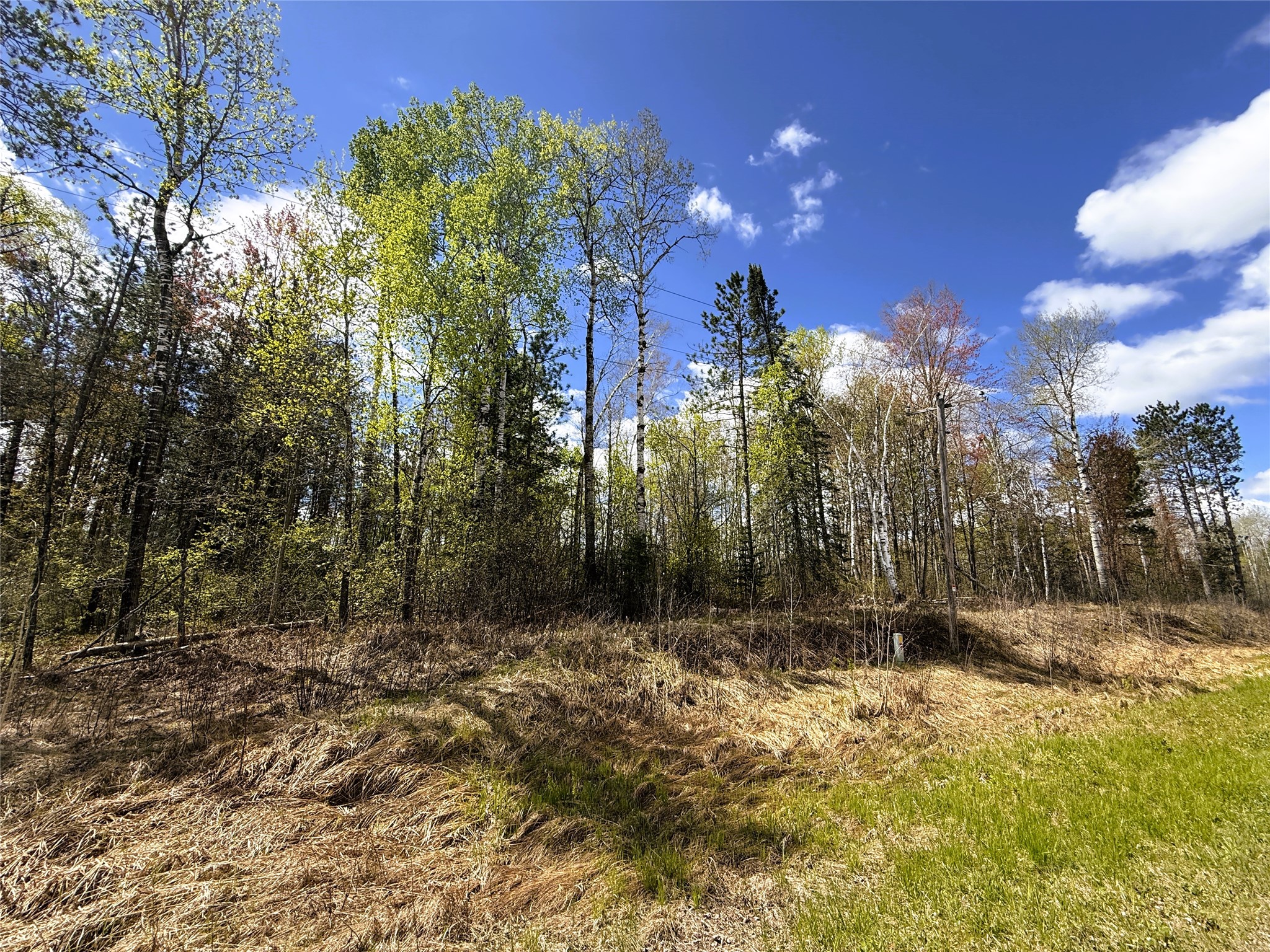 36.5-acres East Cedarbrook Road Ladysmith, WI 54848 - Photo 18 of 18