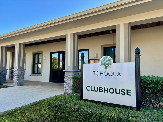 a street view with large trees