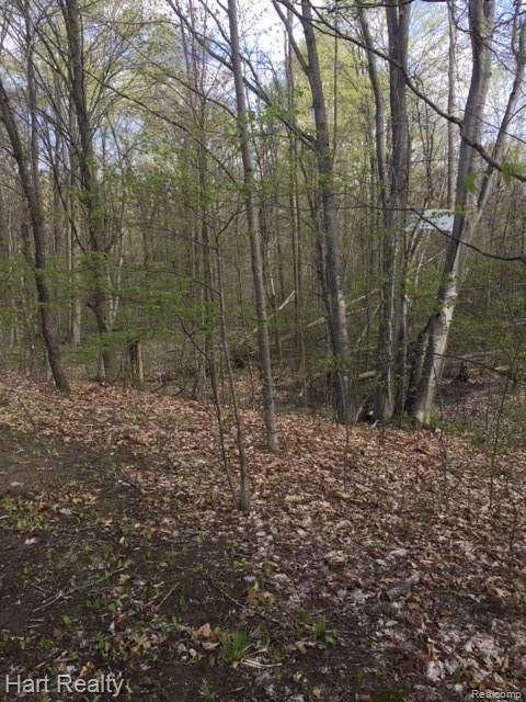0 South Reese Road Frankenmuth, MI 48734 - Photo 6 of 15