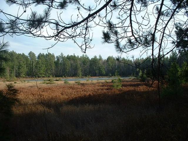 Lot 13 Forest Road Land O'Lakes, WI 54540 - Photo 3 of 3 Gallery Image 3