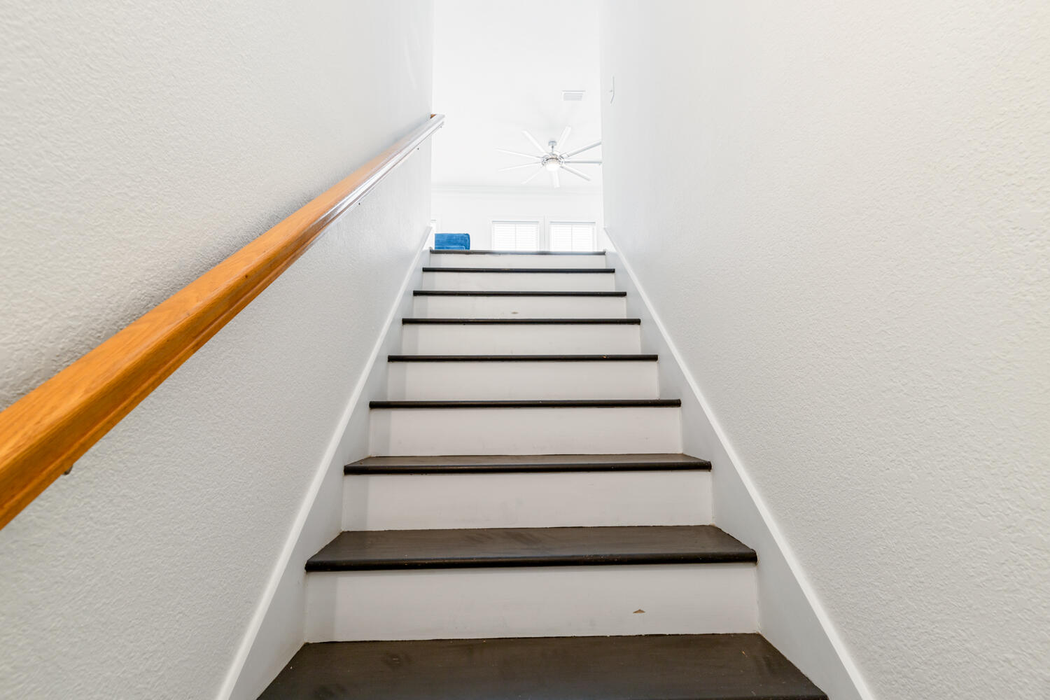 337 Grande Pointe Circle Inlet Beach, FL 32461 - Photo 16 of 73 337GrandePointe-41