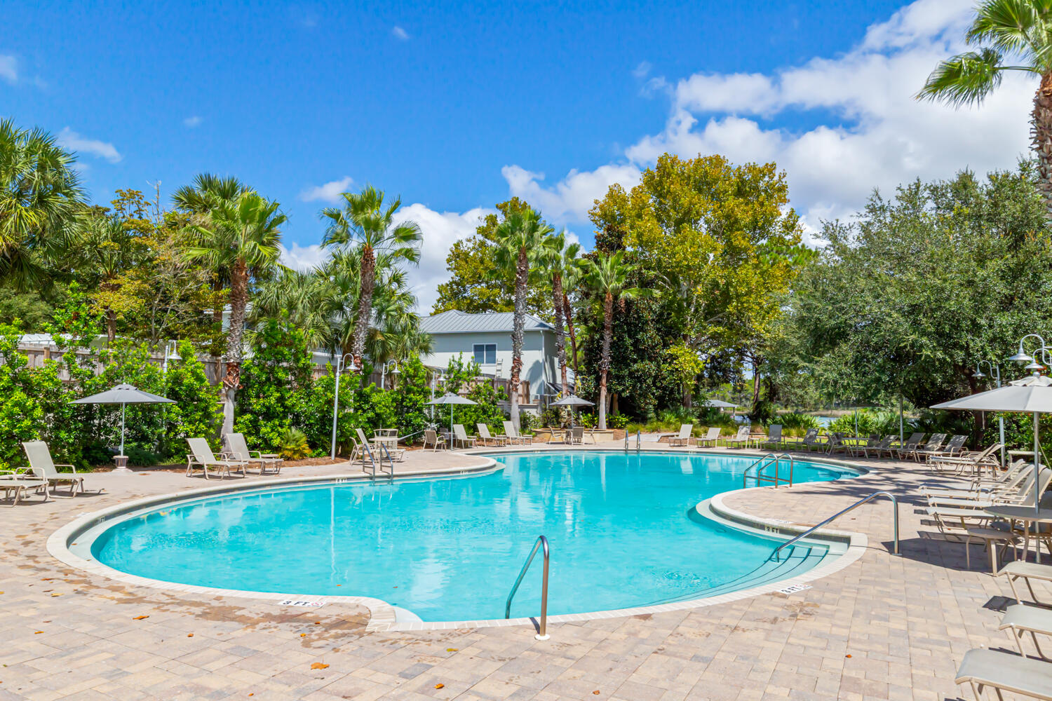 337 Grande Pointe Circle Inlet Beach, FL 32461 - Photo 67 of 73 a view of a swimming pool with a patio