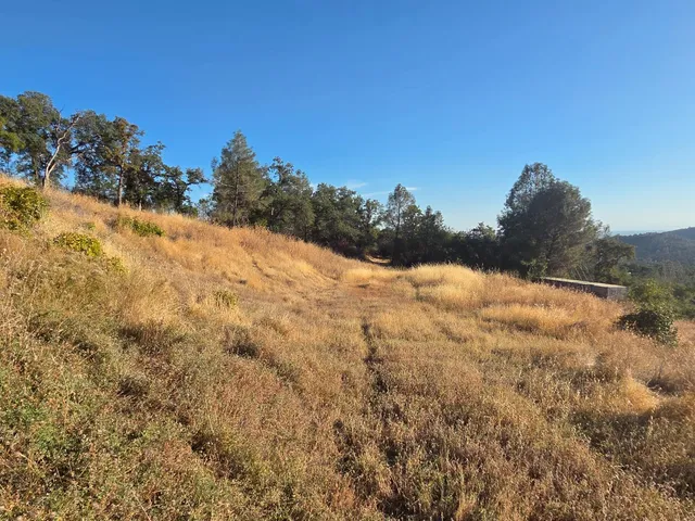 a view of a dry yard with mountains in the background