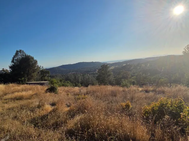 a view of ocean view with lots of trees