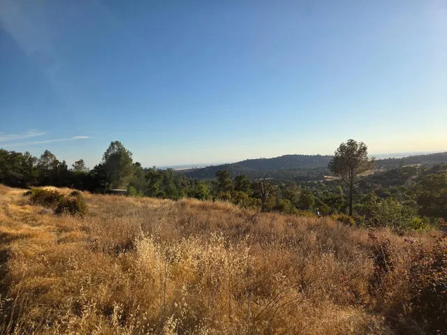 a view of a dry yard with mountains in the background