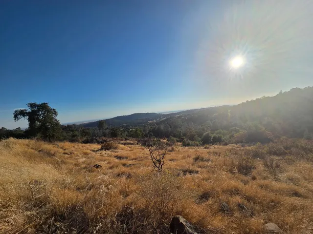 a view of a yard with a mountain