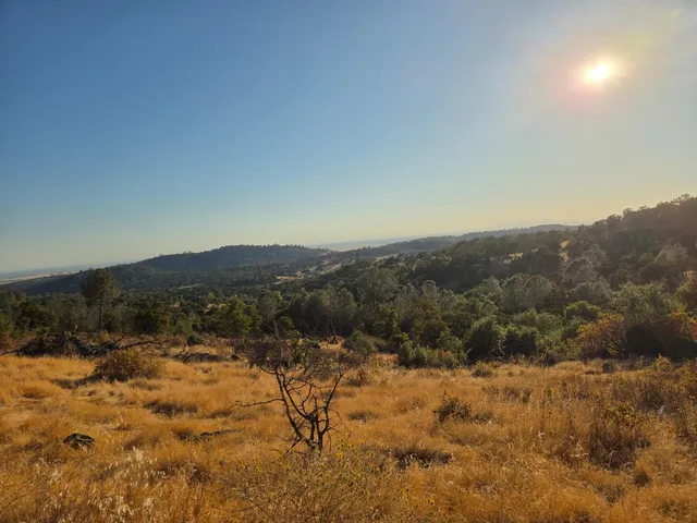 a view of a dry yard with mountains in the background