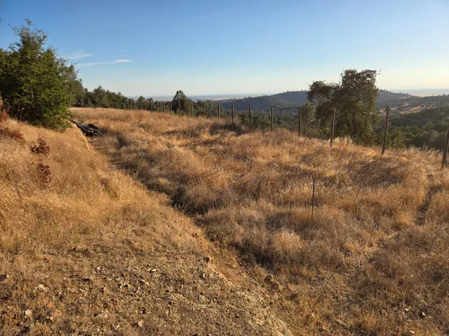 a view of two chairs next to a yard
