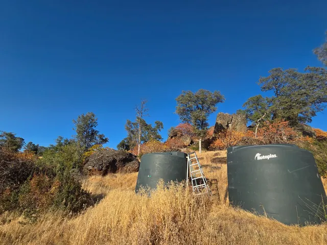 a view of a yard with trees in the background