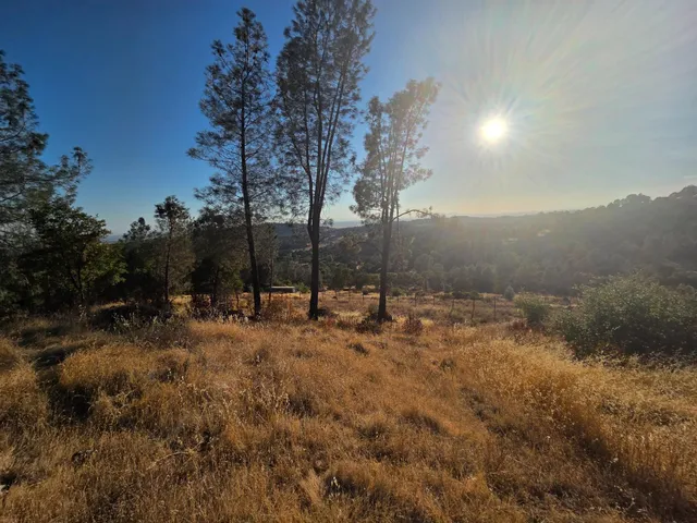 a view of a road with a tree in the background