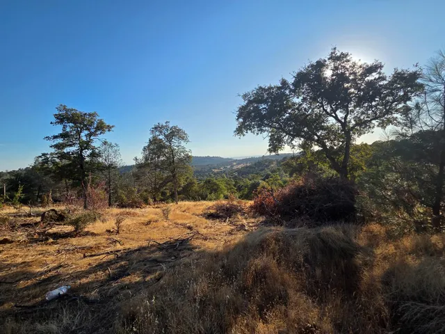 a view of a dry field