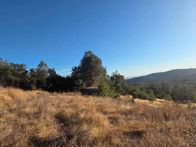 a view of a yard covered with snow in the background