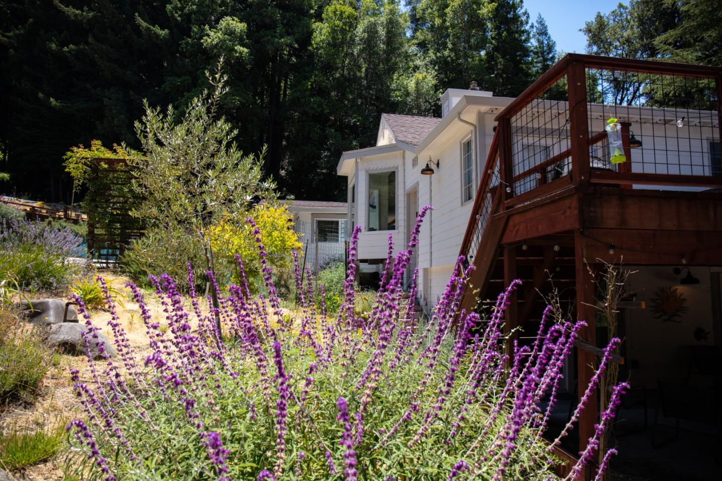 1003 Laurel Glen Road Soquel, CA 95073 - Photo 6 of 101 a view of outdoor space and yard