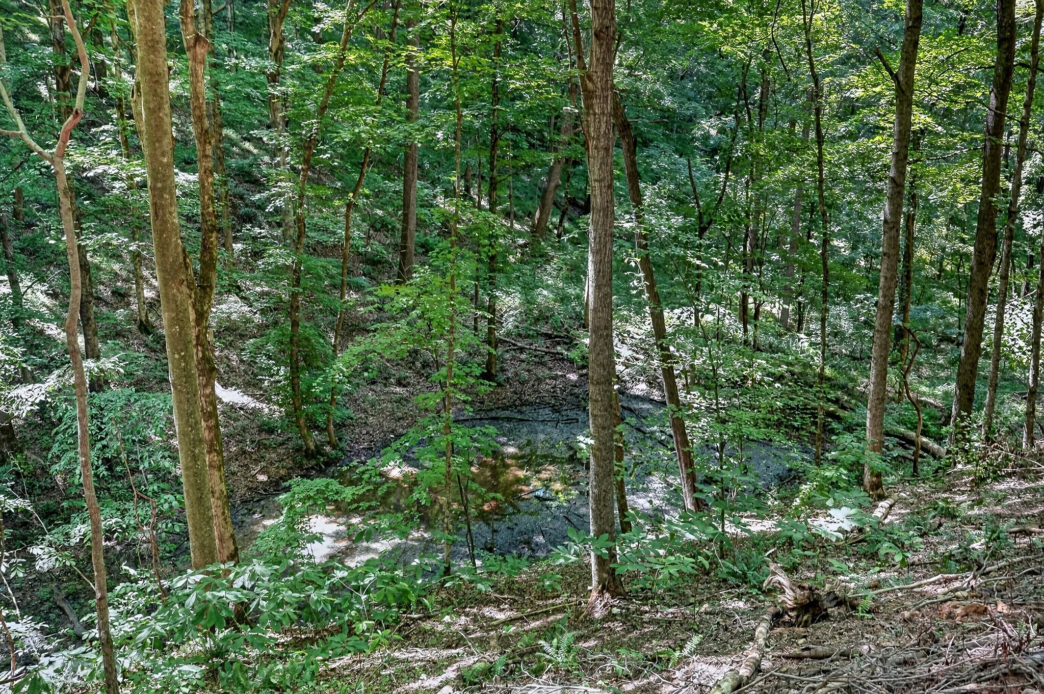 2926 Bryant Ridge Road Baxter, TN 38544 - Photo 9 of 64