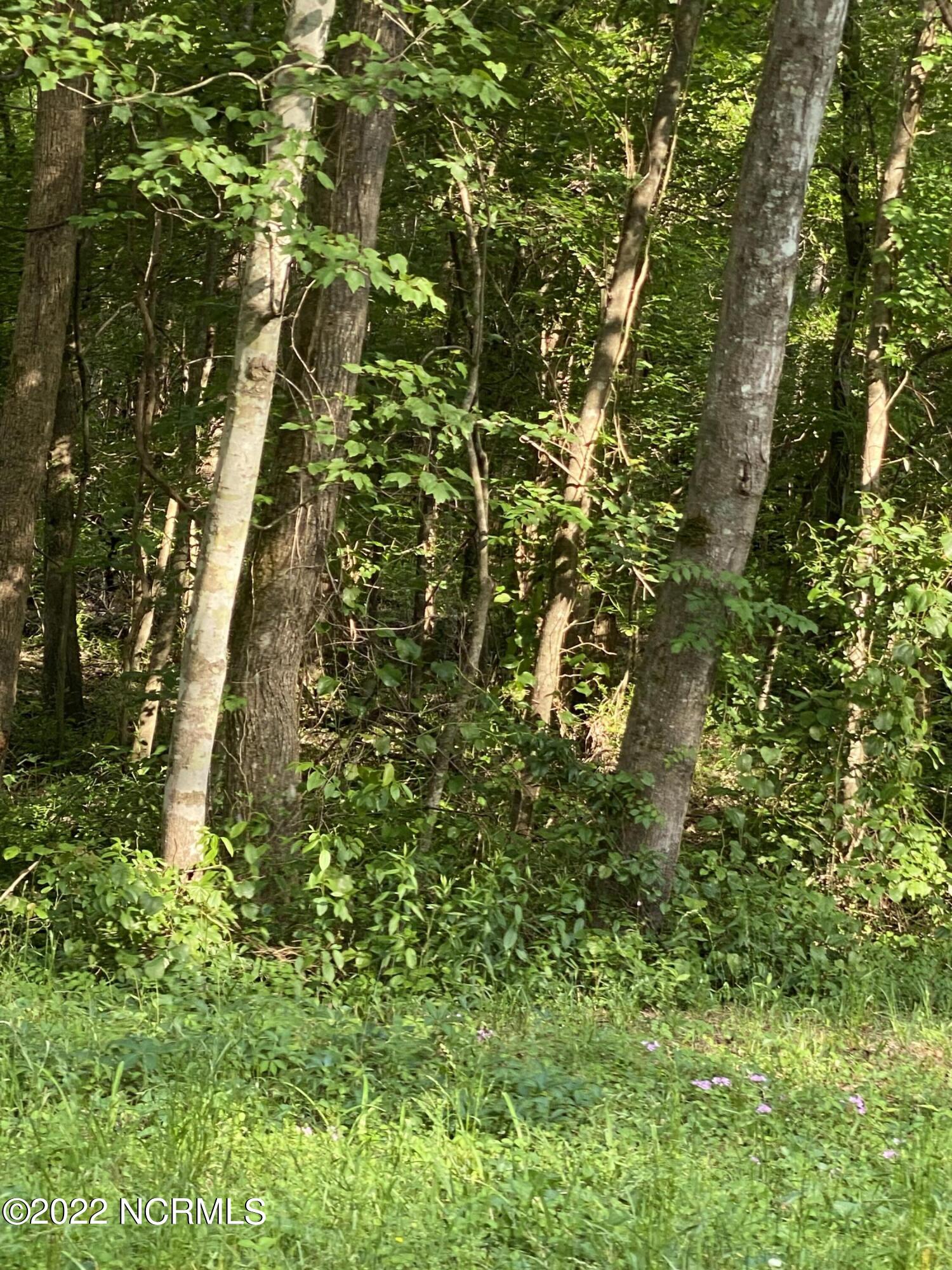 2 Homer Nance Road Evergreen, NC 28438 - Photo 6 of 17 IMG_7893