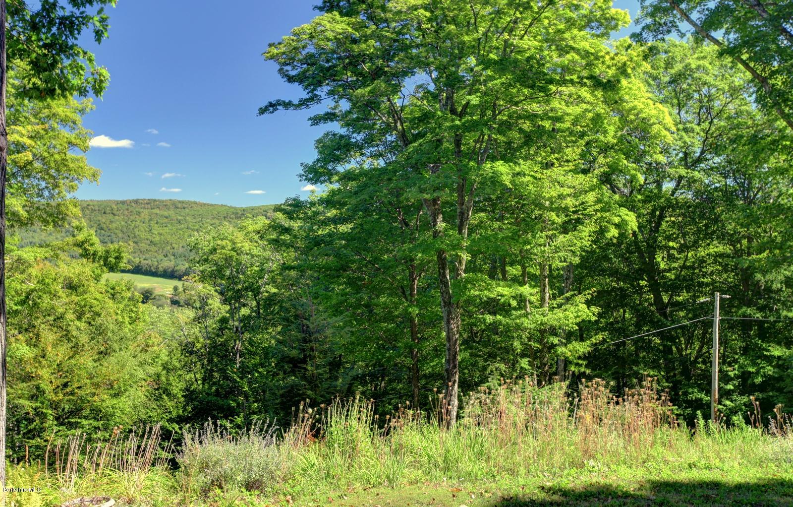 26 Mc Carthy Road Tyringham, MA 01264 - Photo 6 of 31 a view of a yard