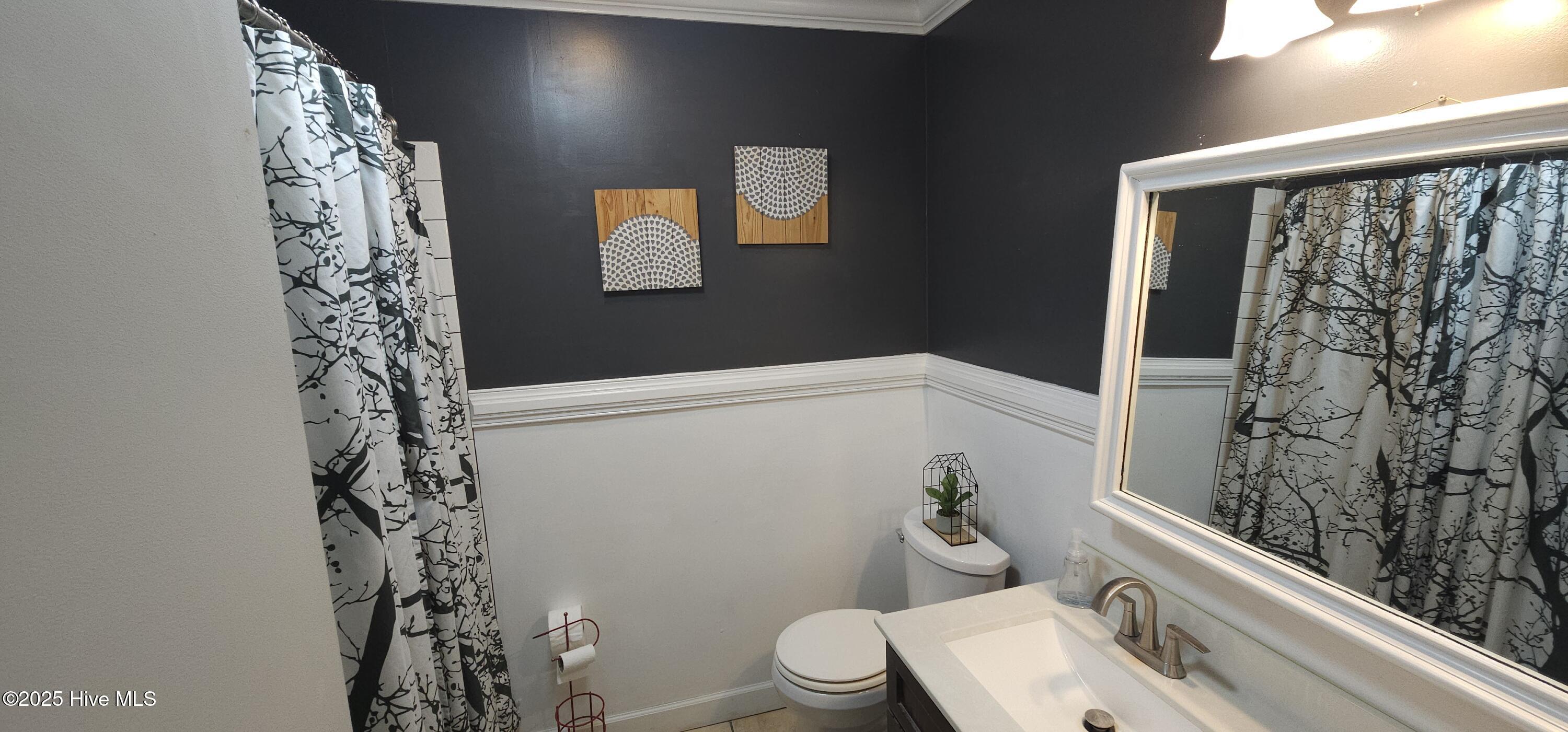 613 Doolittle Mill Road Conway, NC 27820 - Photo 28 of 63 Bathroom 1