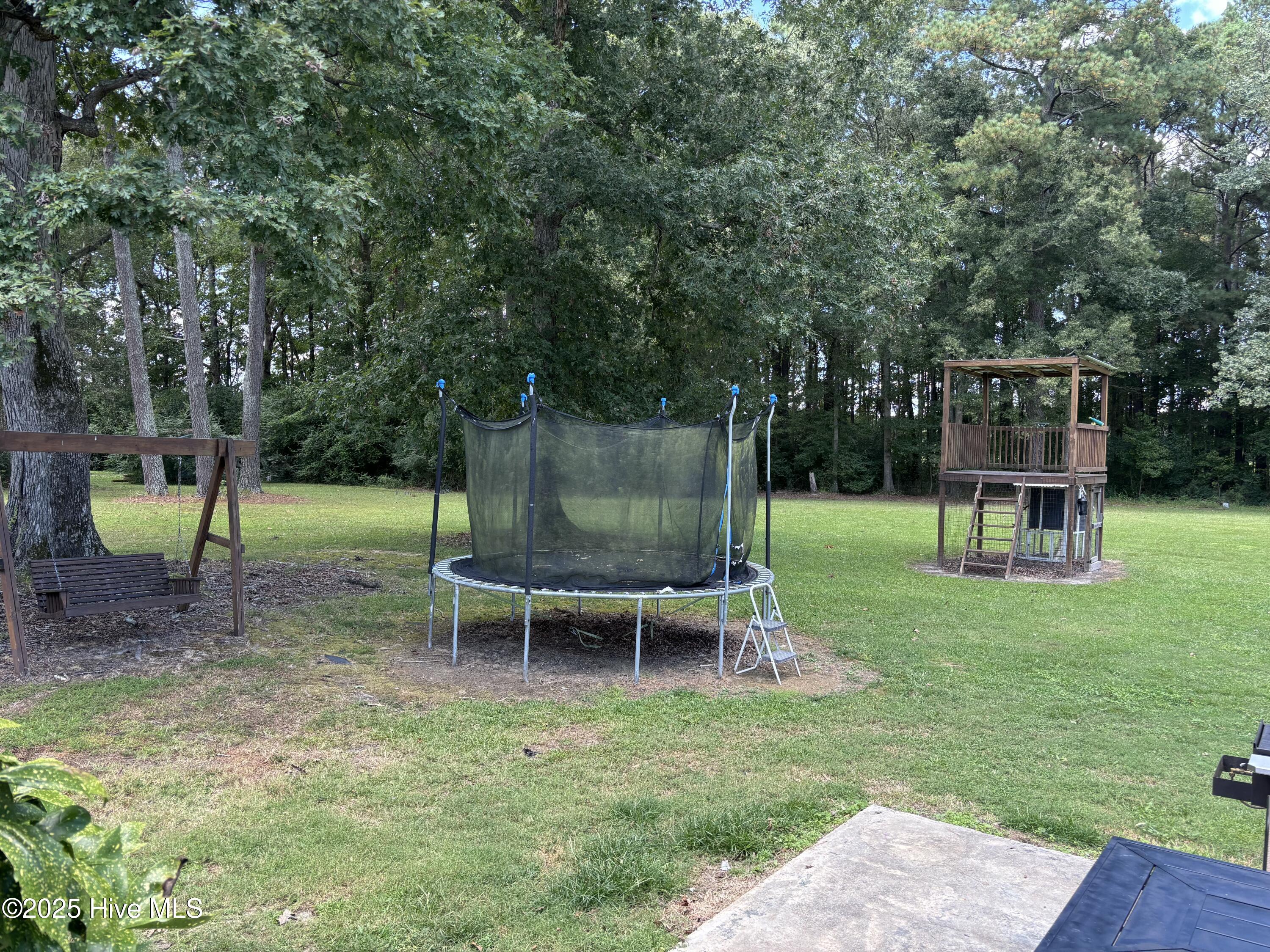 613 Doolittle Mill Road Conway, NC 27820 - Photo 49 of 63 Back yard