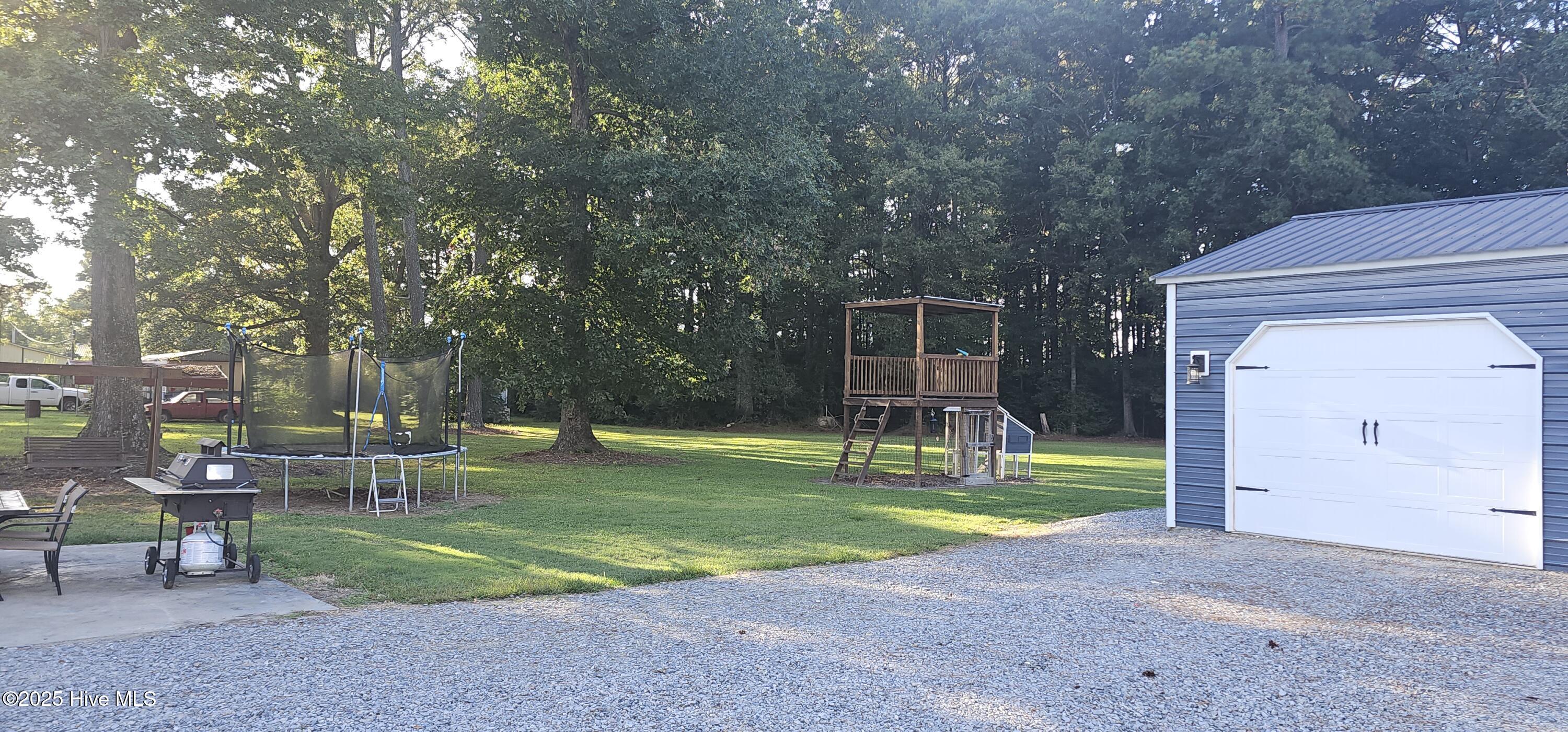 613 Doolittle Mill Road Conway, NC 27820 - Photo 50 of 63 Back yard