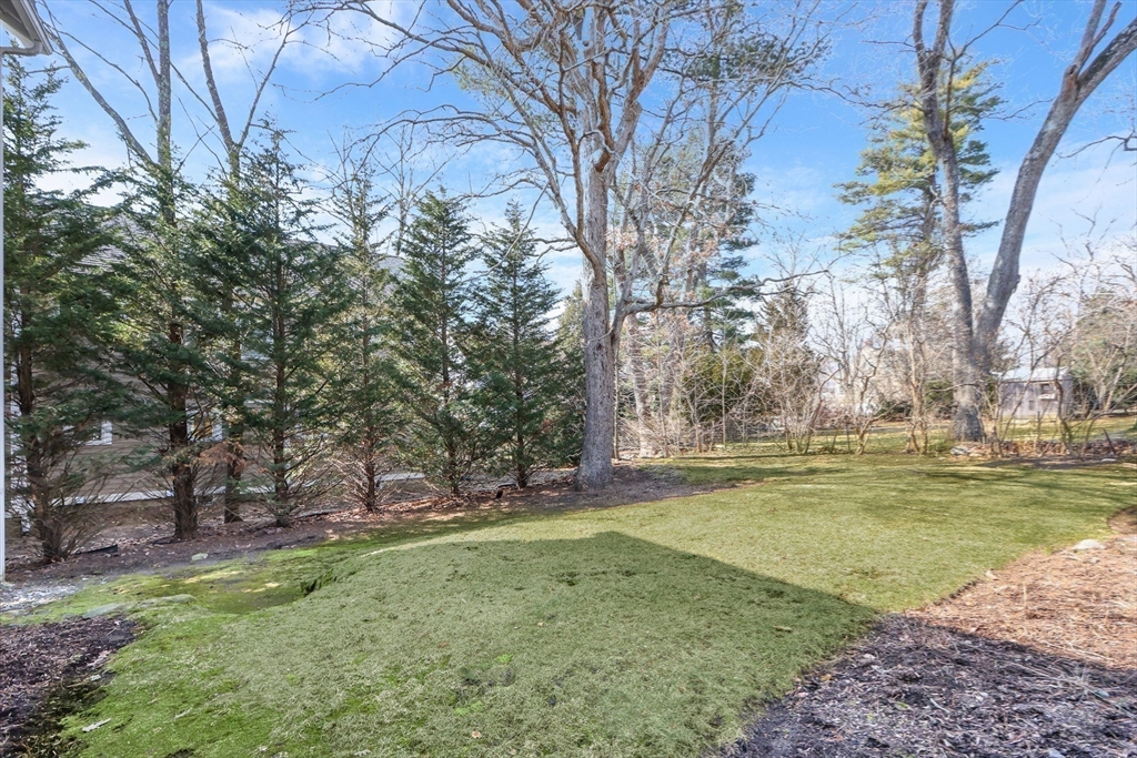 18 Edgewood Street Needham, MA 02492 - Photo 34 of 34 Gallery Image 34