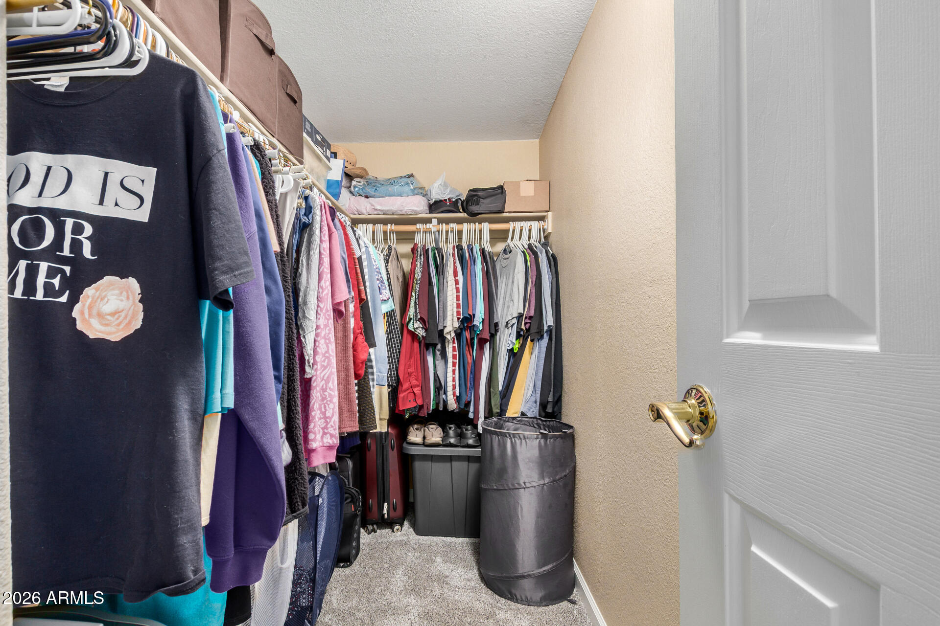 3301 South Goldfield Road, Unit 1006 Apache Junction, AZ 85119 - Photo 18 of 30 a view of walk in closet with clothes