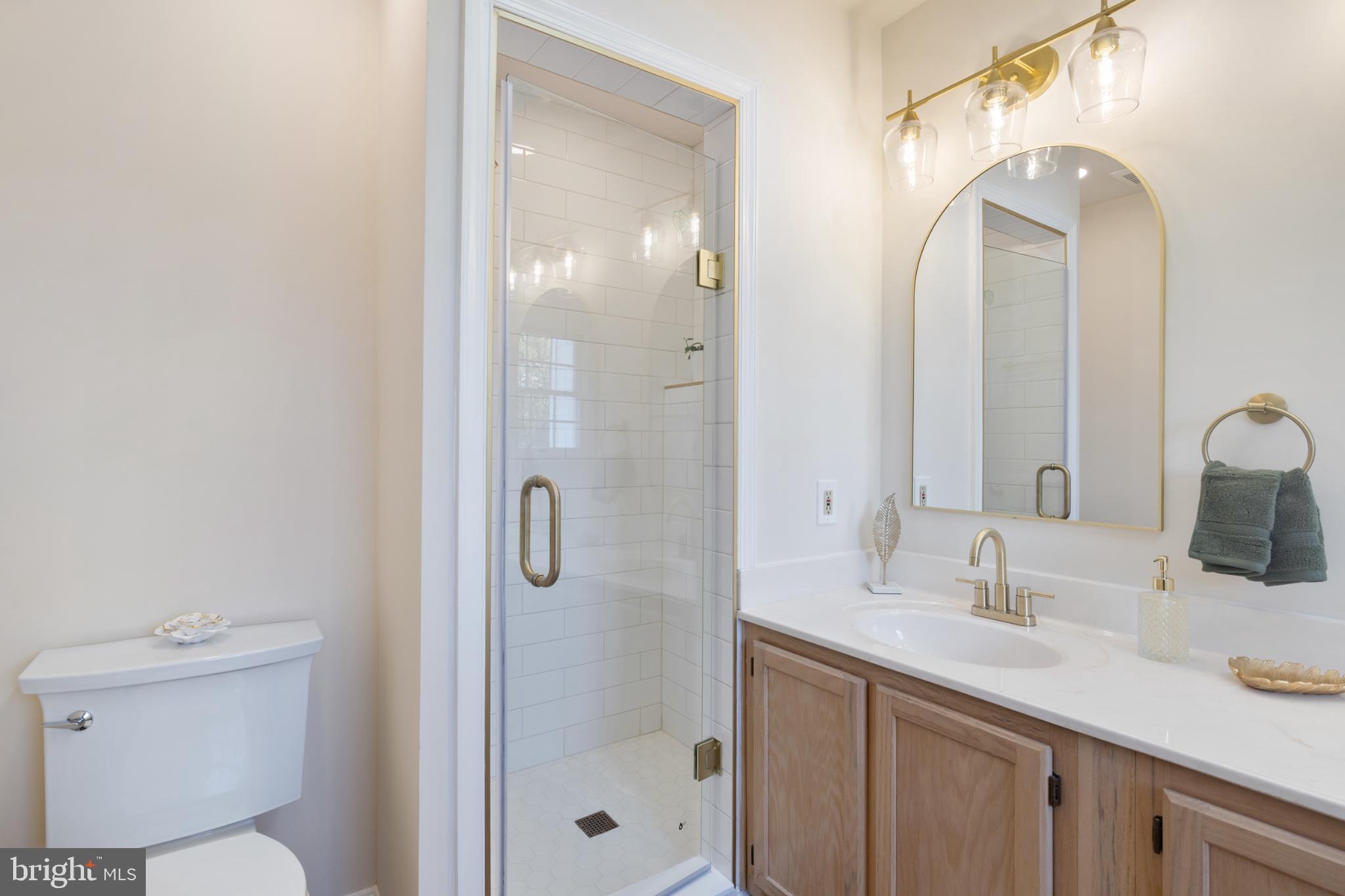 268 St Michaels Circle Odenton, MD 21113 - Photo 19 of 42 a bathroom with a shower sink vanity mirror and toilet