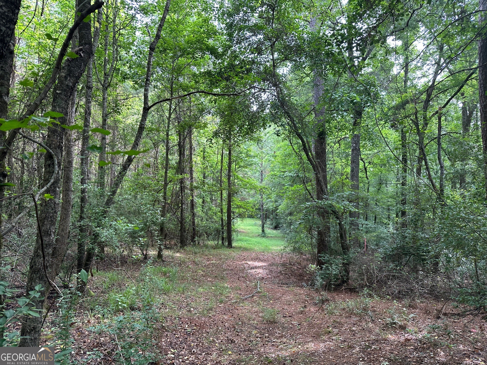 3330 Callaway Road Greensboro, GA 30642 - Photo 75 of 83
