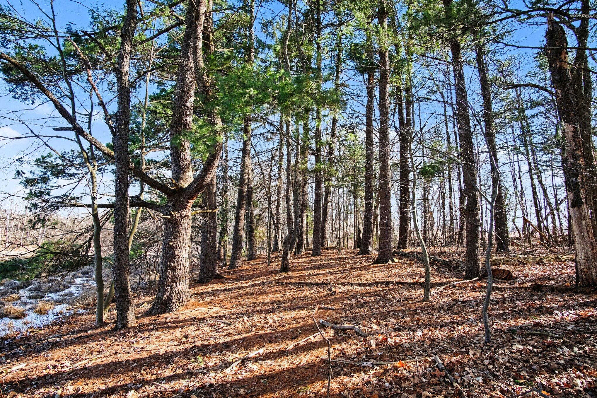 8696 9 Mile Road Northeast Rockford, MI 49341 - Photo 12 of 25 017_file_2260