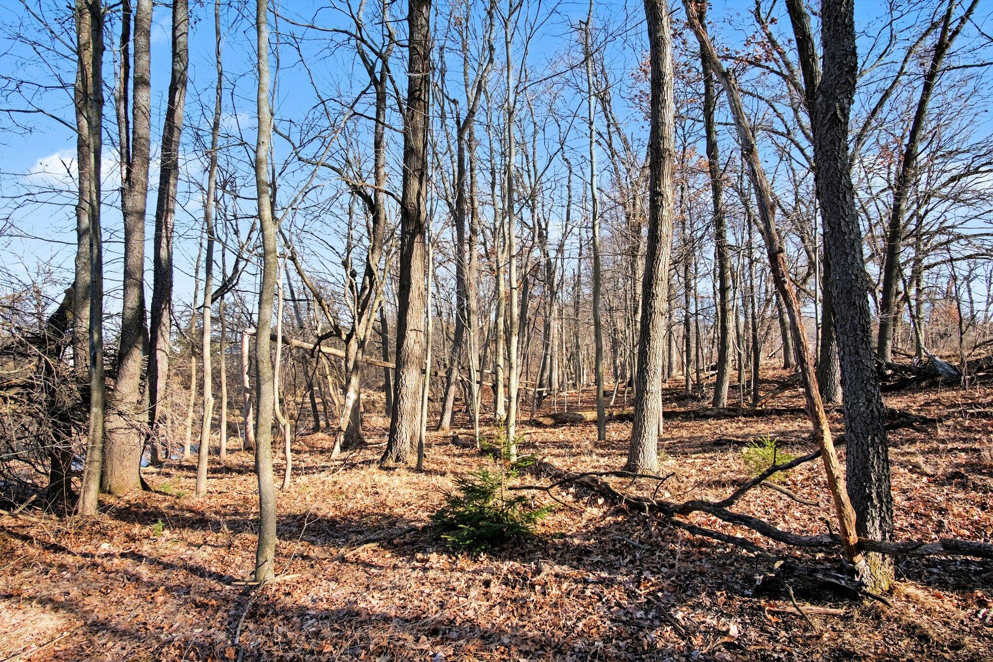 8696 9 Mile Road Northeast Rockford, MI 49341 - Photo 13 of 25 016_file_3440