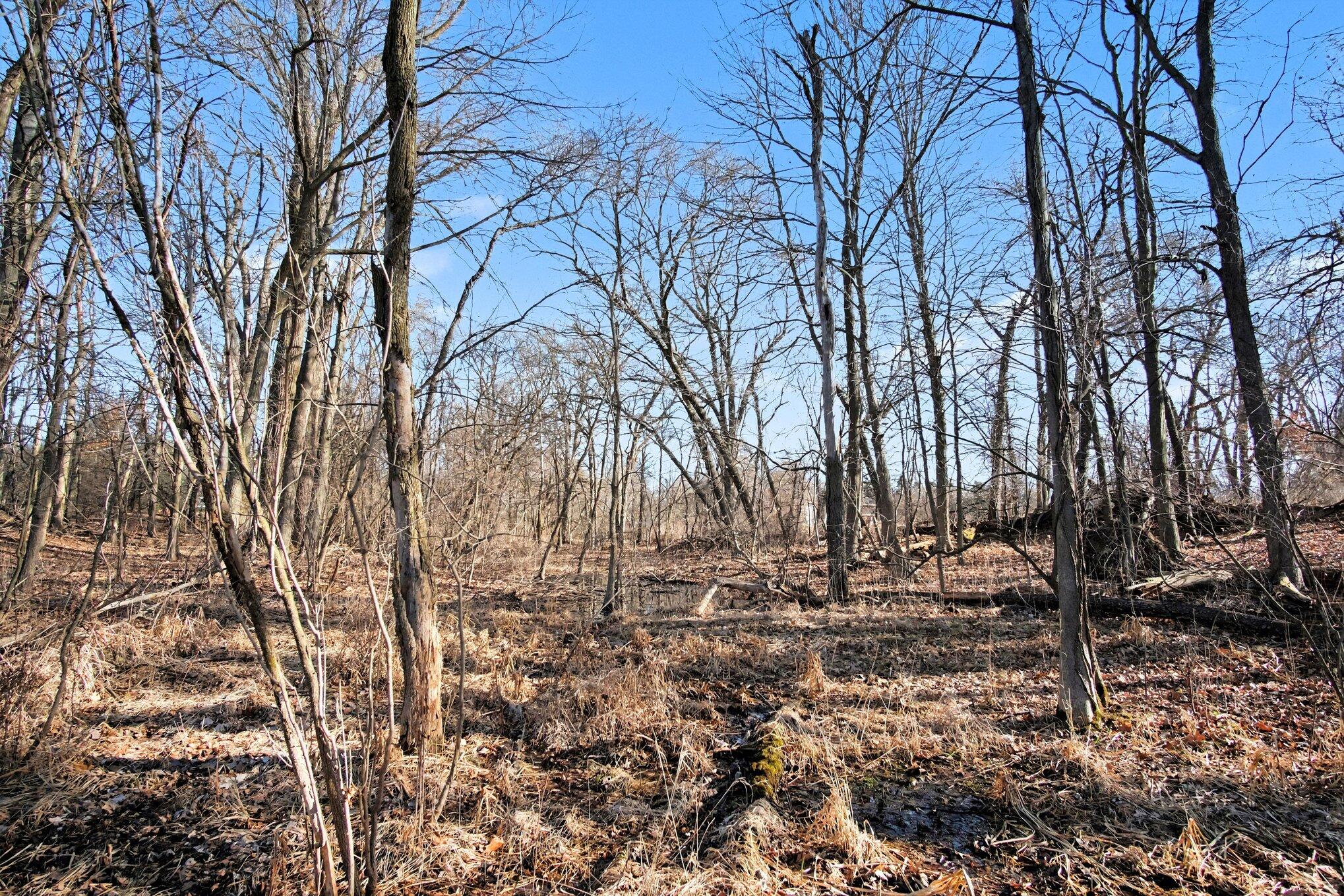 8696 9 Mile Road Northeast Rockford, MI 49341 - Photo 14 of 25 015_file_4465