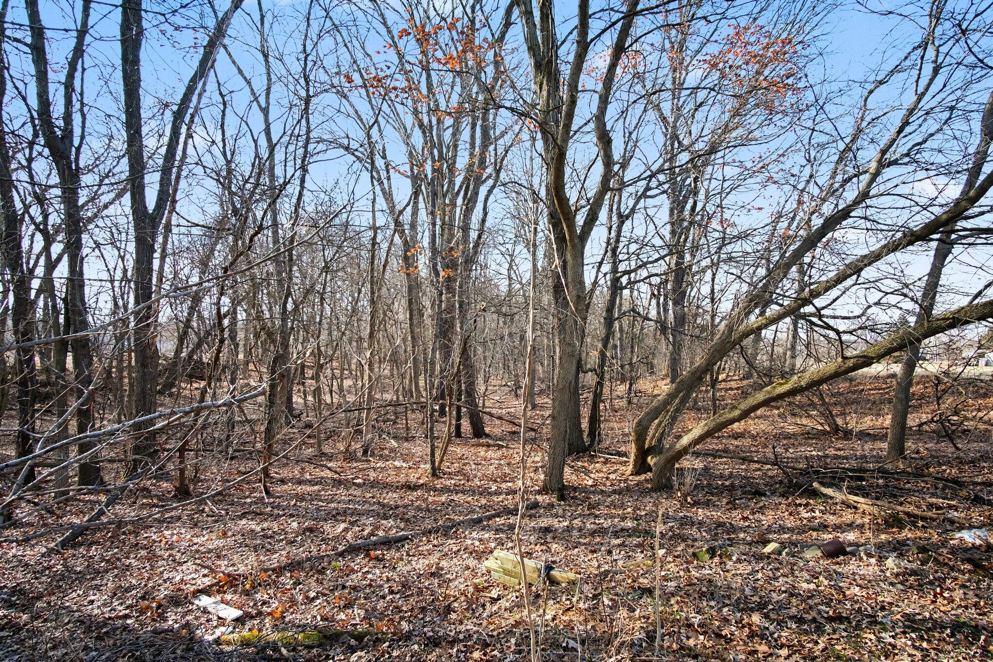 8696 9 Mile Road Northeast Rockford, MI 49341 - Photo 15 of 25 012_file_3454