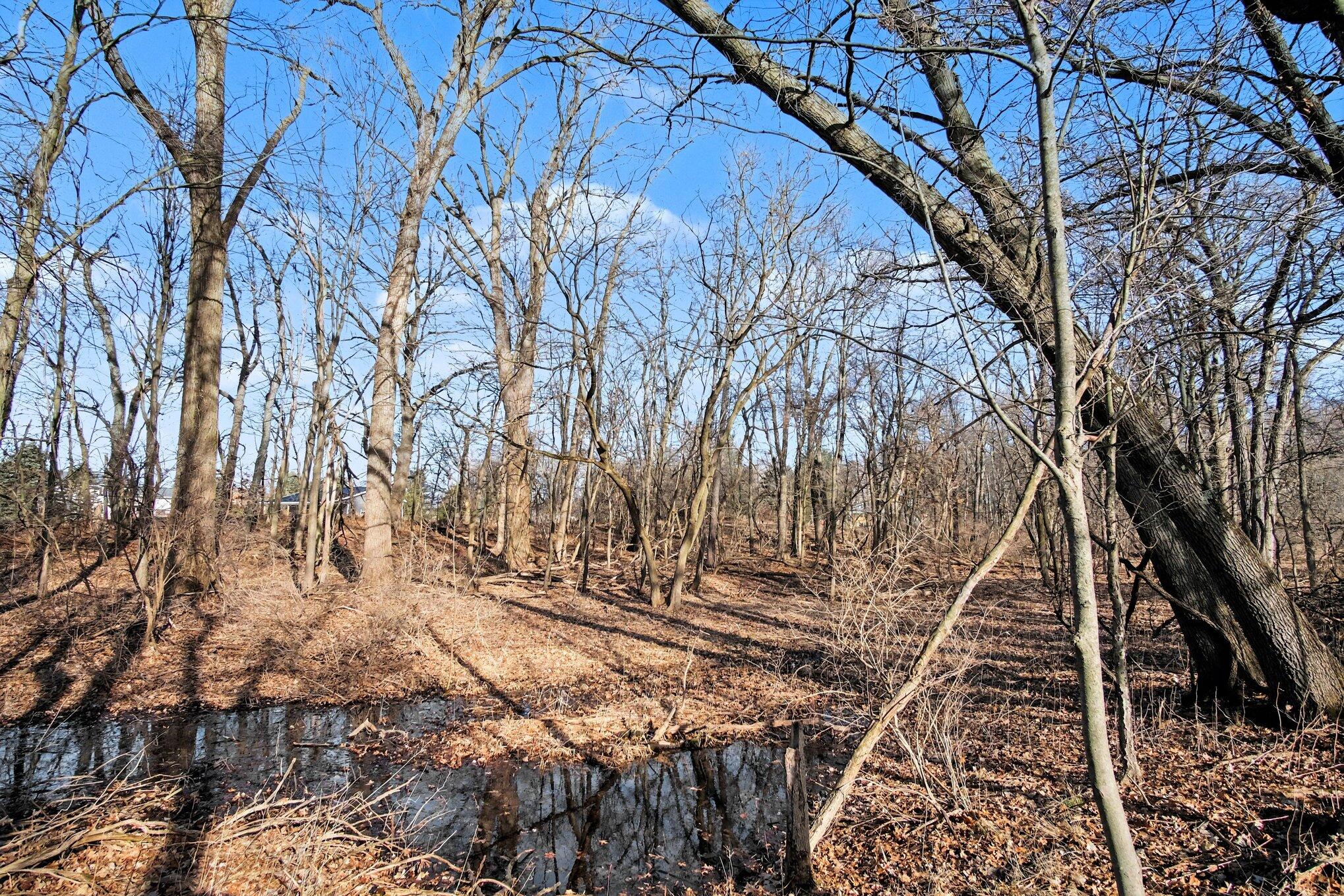 8696 9 Mile Road Northeast Rockford, MI 49341 - Photo 16 of 25 013_file_8390
