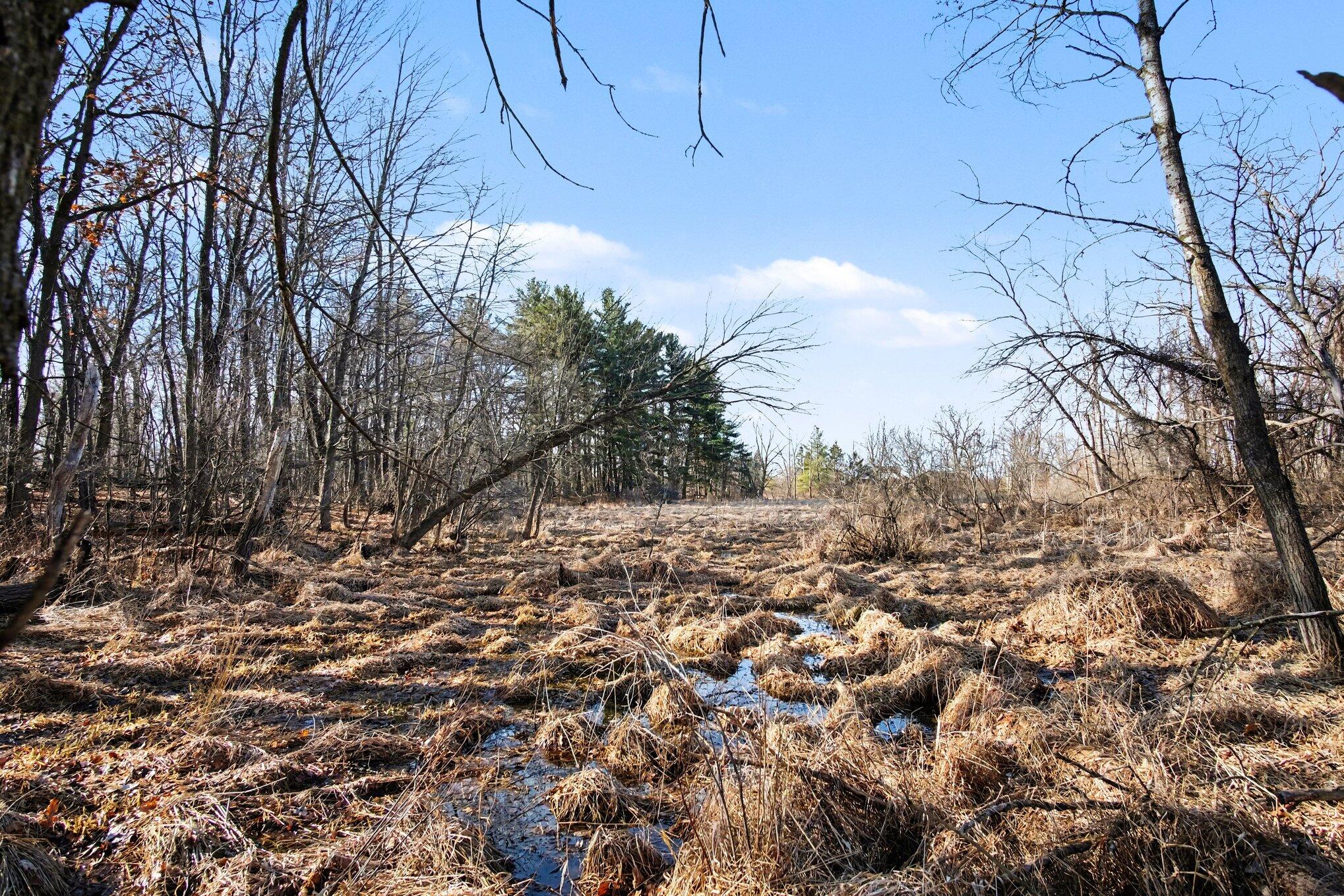 8696 9 Mile Road Northeast Rockford, MI 49341 - Photo 17 of 25 014_file_8389