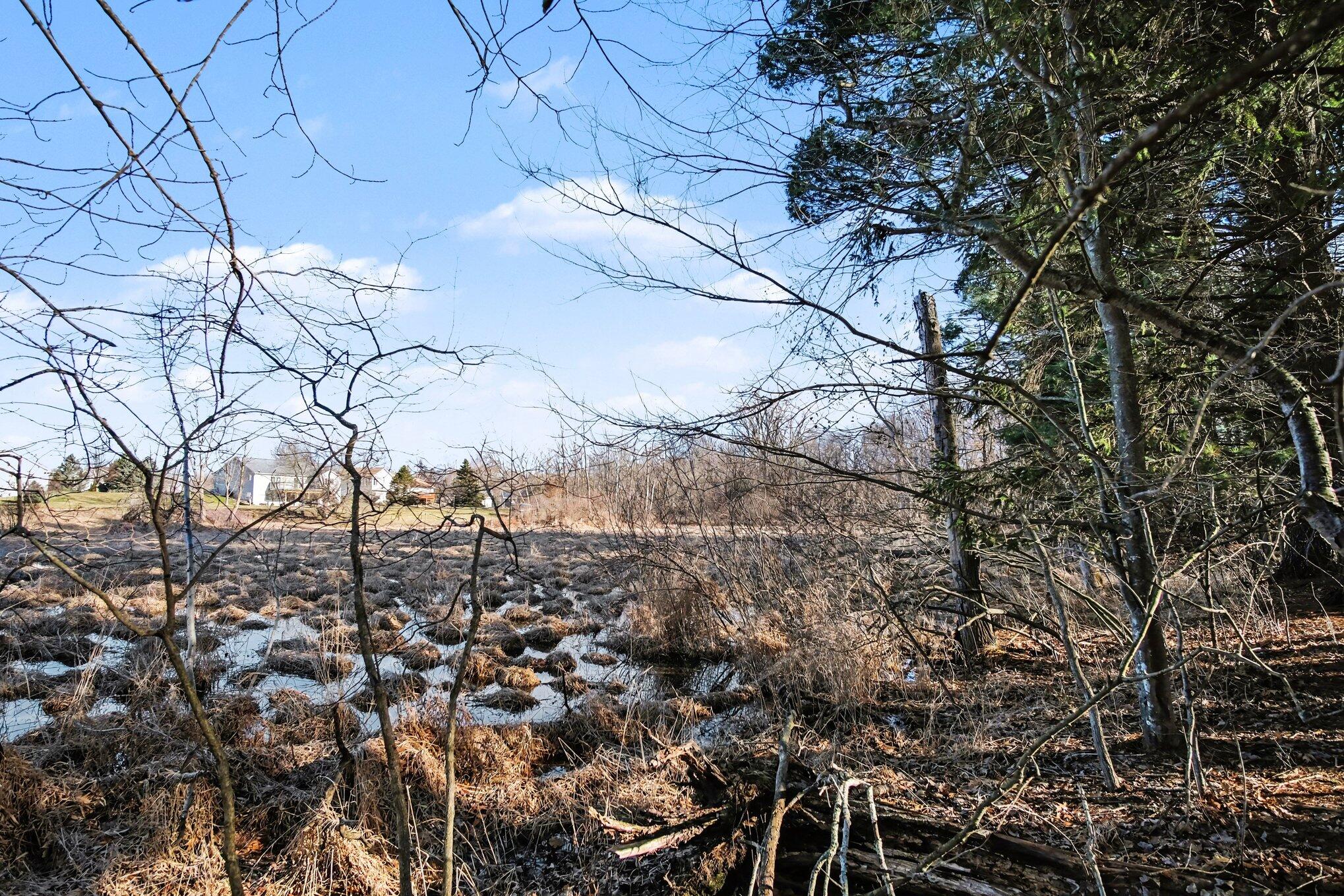 8696 9 Mile Road Northeast Rockford, MI 49341 - Photo 18 of 25 018_file_8221