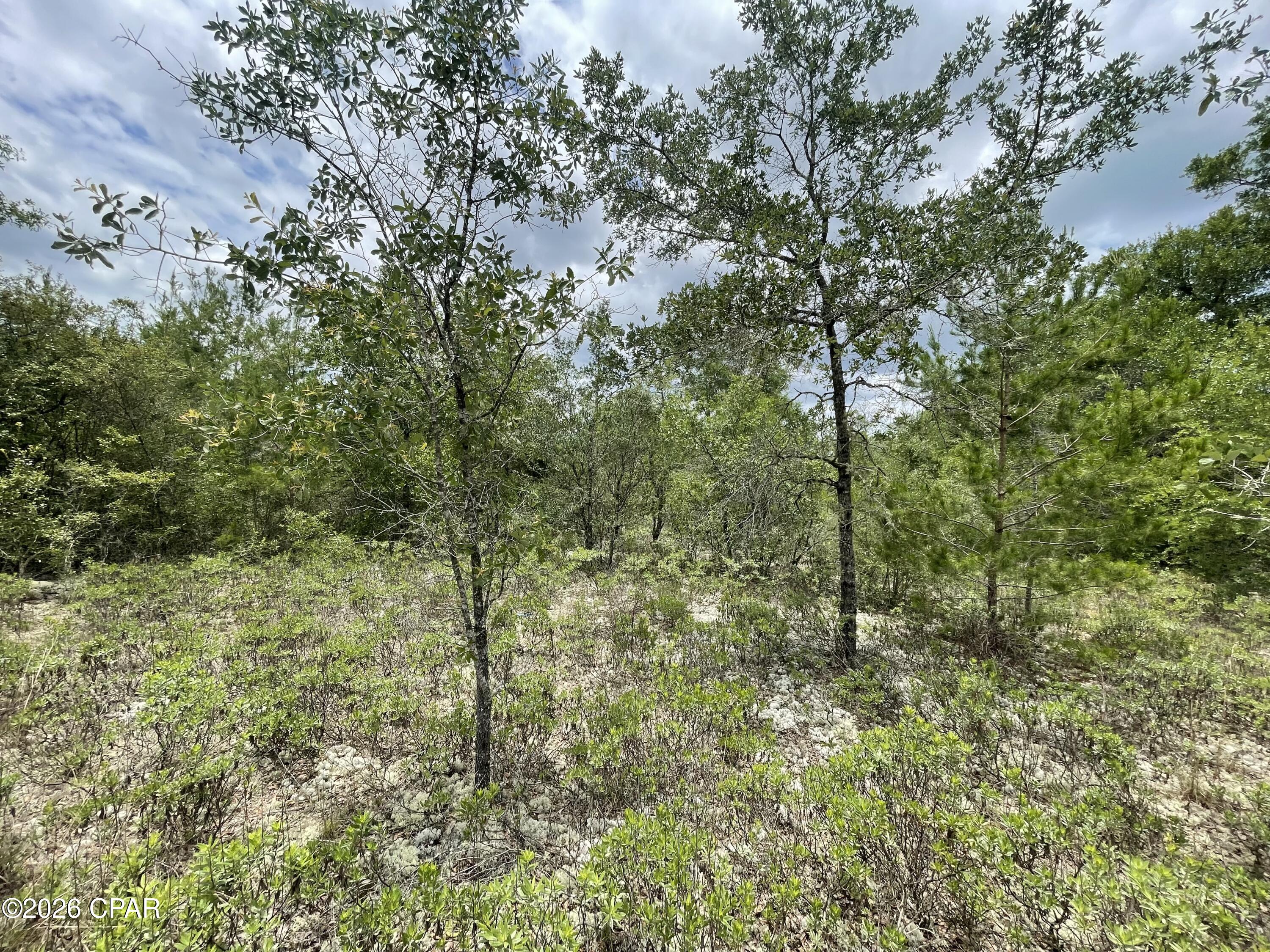 0 Ross Road Fountain, FL 32438 - Photo 7 of 13 Gallery Image 7