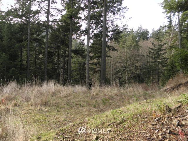 418 View Haven Road Orcas Island, WA 98245 - Photo 1 of 6 Gallery Image 1