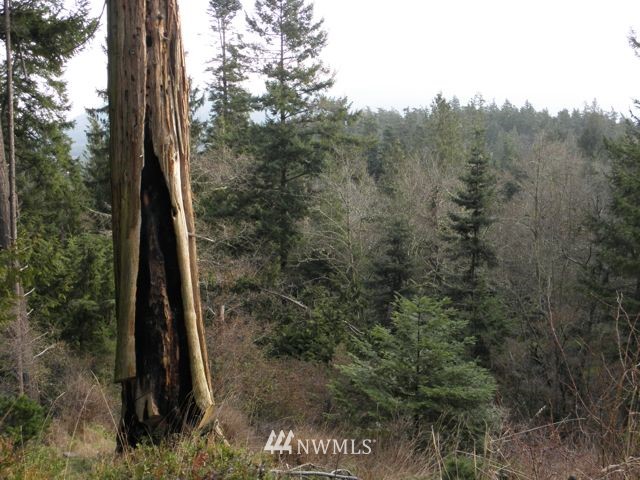 418 View Haven Road Orcas Island, WA 98245 - Photo 3 of 6 Gallery Image 3