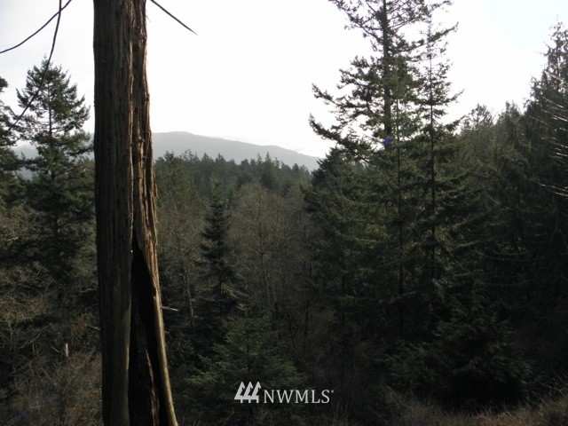 418 View Haven Road Orcas Island, WA 98245 - Photo 4 of 6 Gallery Image 4