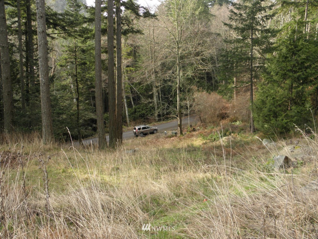 418 View Haven Road Orcas Island, WA 98245 - Photo 5 of 6 Gallery Image 5