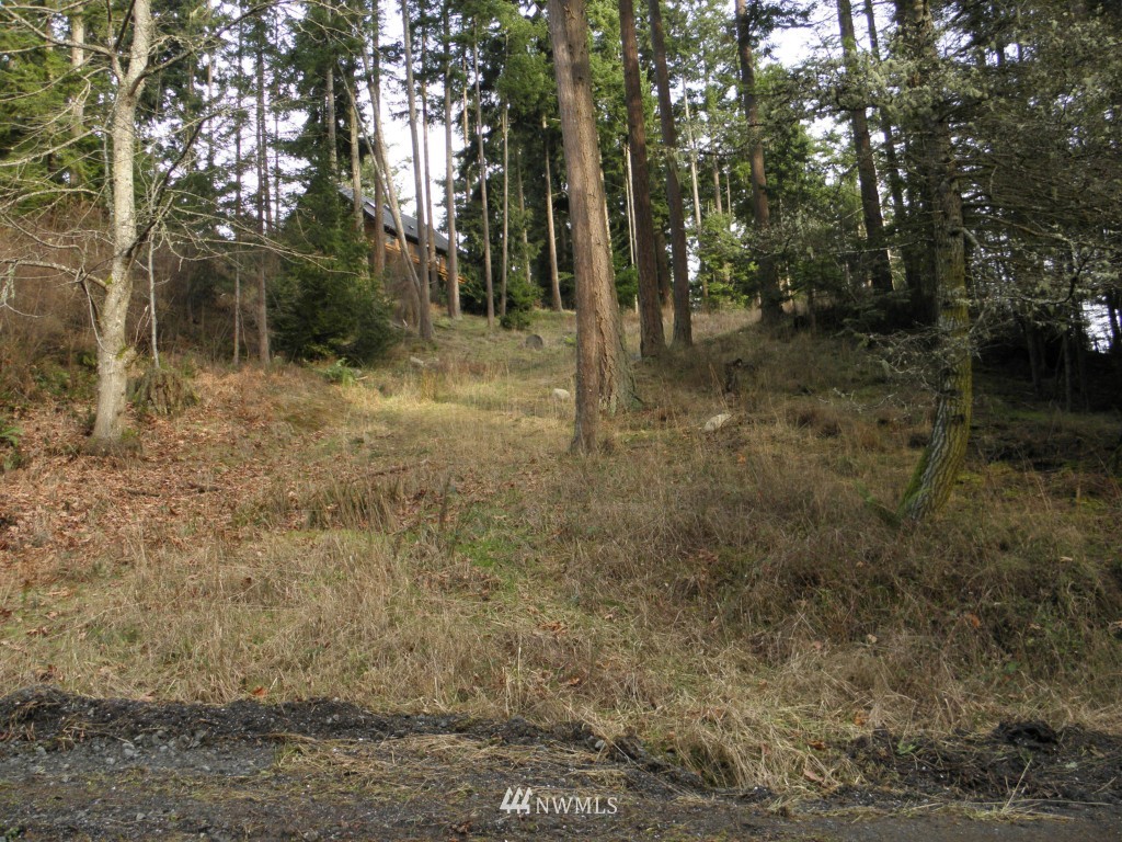 418 View Haven Road Orcas Island, WA 98245 - Photo 6 of 6 Gallery Image 6