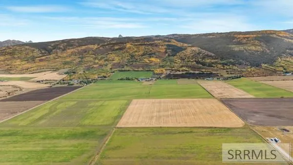 $1,495,000 | 1330 Larsen Lane, Driggs, ID 83422