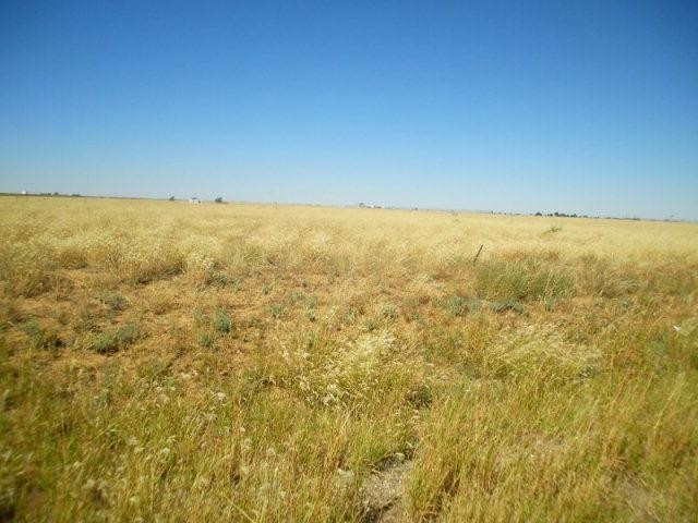 0 Farm Rd 2378 Lubbock, TX 79407 - Photo 2 of 9 Photo 2