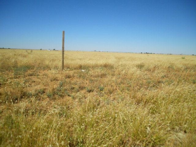 0 Farm Rd 2378 Lubbock, TX 79407 - Photo 4 of 9 Photo 4